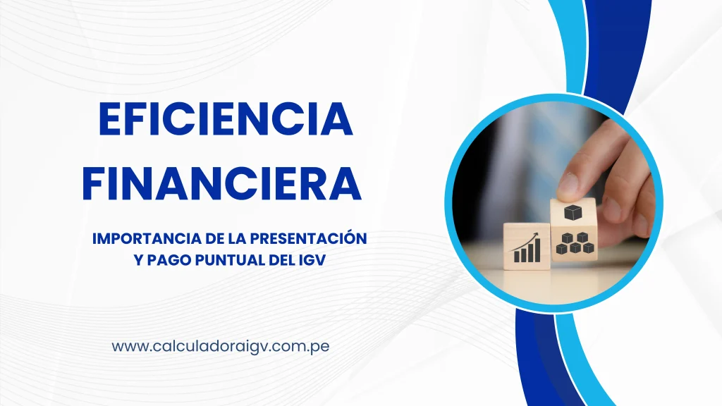 Eficiencia Financiera