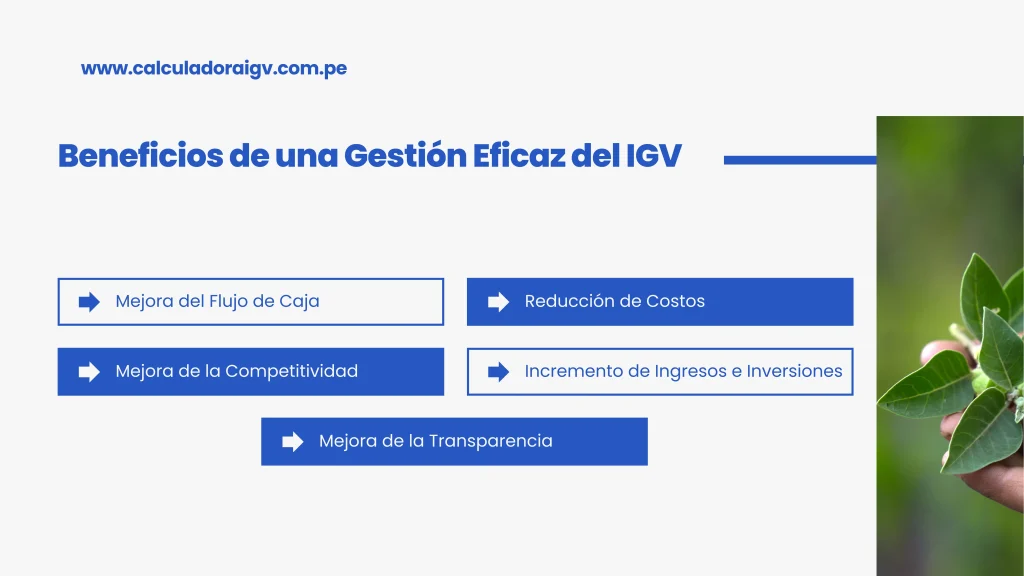 Beneficios de una Gestión Eficaz del IGV