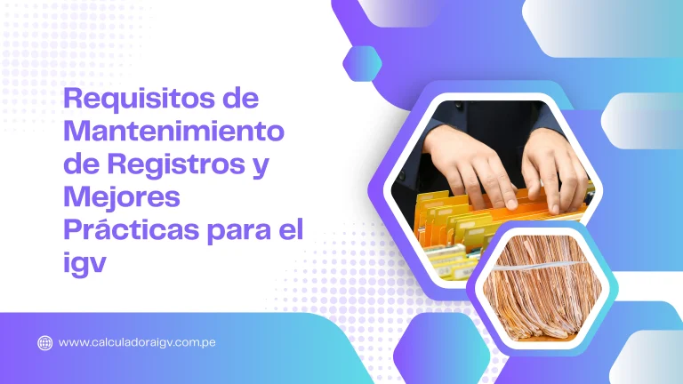 Requisitos de Mantenimiento de Registros y Mejores Prácticas para el igv